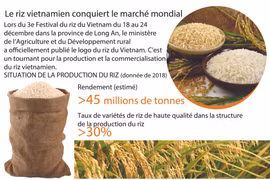 Le riz vietnamien conquiert le marché mondial