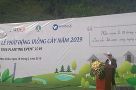 Lancement du mouvement de plantation 2019 à Son La