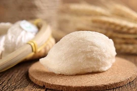 Potentiels d'exportation des nids de salanganes du Vietnam vers la Chine