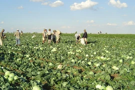 Des propriétaires agricoles vietnamiens en Russie