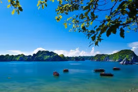 Conservation des valeurs des réserves mondiales de biosphère au Vietnam