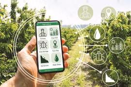 Bac Giang : transformation numérique dans l’édification de la Nouvelle ruralité