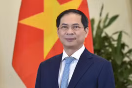 Le ministre des Affaires étrangères Bui Thanh Son. Photo : VNA