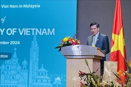 L'ambassadeur du Vietnam en Malalaisie Dinh Ngoc Linh. Photo : VNA