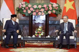 Le secrétaire général du Parti communiste et président du Vietnam, To Lam (droite) et le président élu de l'Indonésie, Prabowo Subianto, en visite de travail au Vietnam. Photo : VNA