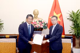 Le vice-ministre des Affaires étrangères Pham Thanh Binh (droite) et l'ambassadeur du Japon au Vietnam Ito Naoki. Photo : VNA