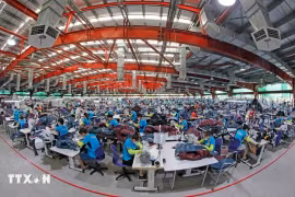 Considéré comme l'une des économies « petit tigre » d'Asie du Sud-Est pour son modèle de croissance axé sur les exportations, similaire à celui des « tigres asiatiques » que sont Singapour, la République de Corée et Taïwan (Chine), le Vietnam continue de connaître une forte croissance économique. Photo : VNA