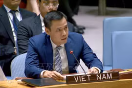L'ambassadeur Dang Hoang Giang, chef de la mission vietnamienne auprès des Nations Unies. Photo : VNA