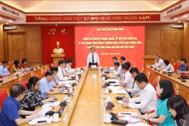 Lors de la séance de travail. Photo : VNA