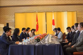 Lors de la réunion du Comité de coopération Vietnam-Japon. Photo : VNA