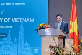 L'ambassadeur du Vietnam en Malalaisie Dinh Ngoc Linh. Photo : VNA