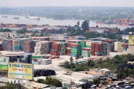 Port de Dong Nai dans la ville de Bien Hoa, province méridionale de Dong Nai. Photo : VNA