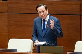 Le ministre du Travail, des Invalides et des Affaires sociales, Dao Ngoc Dung. Photo : VNA