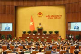 Lors d'une session de l'AN. Photo : VNA