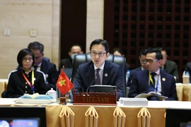 Le vice-ministre des Affaires étrangères Do Hung Viet. Photo : VNA