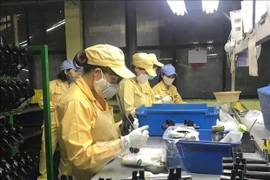 Hanoi s’intéresse aux intérêts des travailleurs affectés par la pandémie de COVID-19