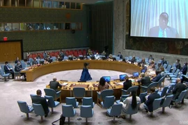 Le Vietnam salue les évolutions positives en Somalie