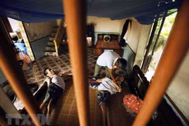 Prochain procès contre des firmes chimiques ayant produit l’agent orange en France