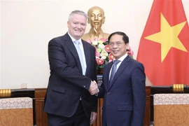 Le ministre des AE Bui Thanh Son reçoit le secrétaire général de l'OCDE