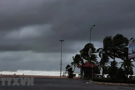 La tempête Molave frappera la côte du Centre le 28 octobre au matin