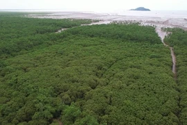 Le PNUD salue les efforts du Vietnam dans la réduction des risques de catastrophe