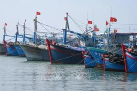 INN : la communauté des pêcheurs s’engage à la lutte contre la pêche illégale 