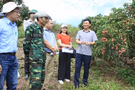 Bac Giang déploie des projets technologiques au service de son développement socio-économique