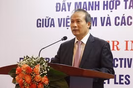 Opportunité de coopération économique entre le Vietnam et les pays francophones d'Afrique 
