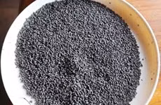 Des fossiles de riz de 900 ans au Cambodge 