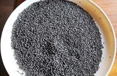Des fossiles de riz de 900 ans au Cambodge 