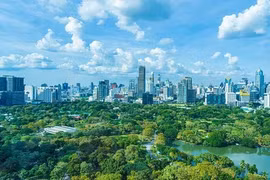 L’industrie du bois dispose d’un énorme potentiel pour augmenter les revenus issus de la vente de crédits carbone