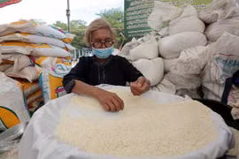 Les exportations de riz de la Thaïlande devraient dépasser huit millions de tonnes