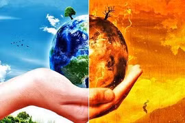 Approbation de la stratégie nationale sur le changement climatique jusqu'en 2050