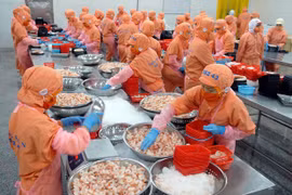 Les exportations en augmentation tant en quantité qu'en qualité