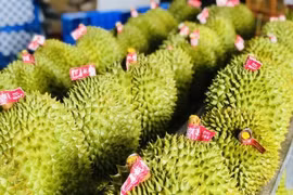 Affirmer la position du durian dans le club des produits exportations d'un milliard de dollars