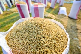 Nouvelle politique sur l'importation de riz et de feuilles de tabac du Cambodge