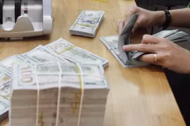 Le Vietnam applaudit à l'ajustement positif du rapport du Département américain du Trésor