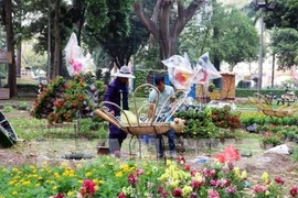 Ho Chi Minh-Villle s'active avec des festivals de fleurs, des marchés du Tet