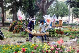 Ho Chi Minh-Villle s'active avec des festivals de fleurs, des marchés du Tet