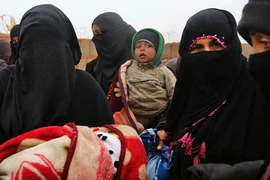 Le Vietnam appelle à accroître le soutien humanitaire pour la Syrie