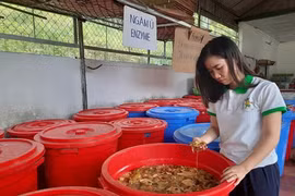 Transformer des déchets en produits utiles, le pari d’une femme