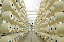Les médias internationaux louent la croissance économique du Vietnam en 2020