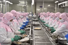 Rebond des exportations de crevettes vers les principaux marchés