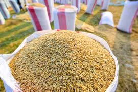 Nouvelle politique sur l'importation de riz et de feuilles de tabac du Cambodge