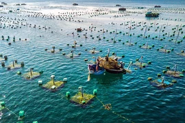Développement synchrone des infrastructures pour l'aquaculture marine 