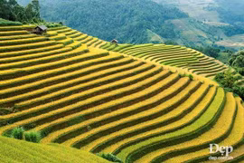 De beaux endroits à ne pas manquer à Mu Cang Chai