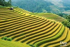 De beaux endroits à ne pas manquer à Mu Cang Chai