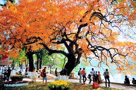 Hanoi renforce la promotion de son tourisme à l’international