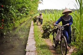 La BAD aide l’Indonésie à atteindre la sécurité alimentaire