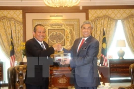 Le vice-PM permanent Truong Hoa Binh en visite officielle en Malaisie